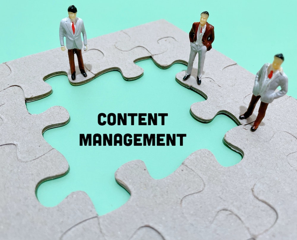 WordPress : Comment créer son site web de manière professionnelle ?