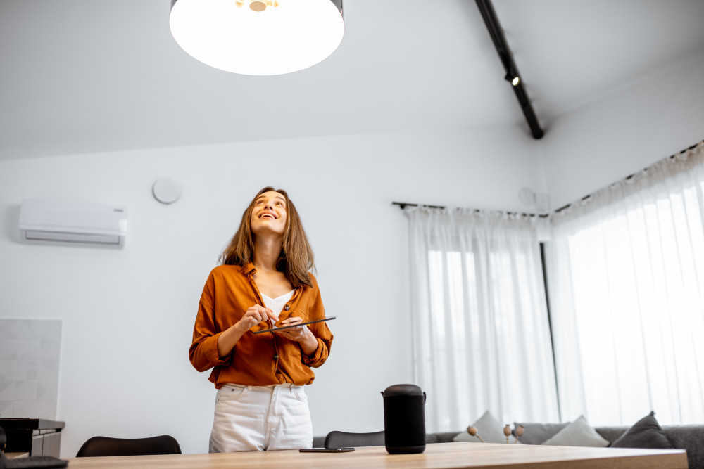 Réseaux domotiques : Wired vs. Wireless, quel système adopter pour votre maison connectée ?